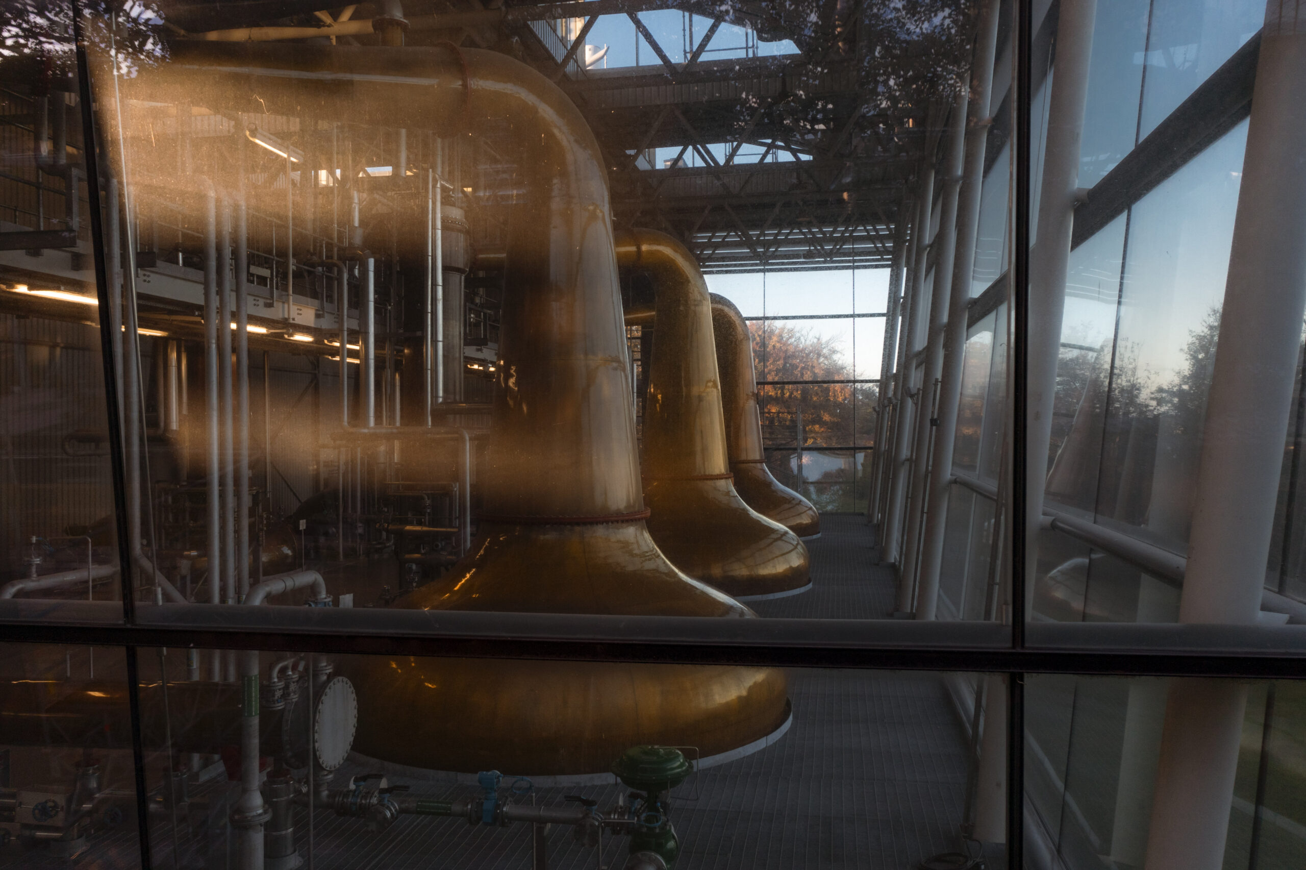 midleton distillery 2021